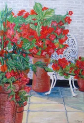 Geranios y petunias en la terraza, 2011